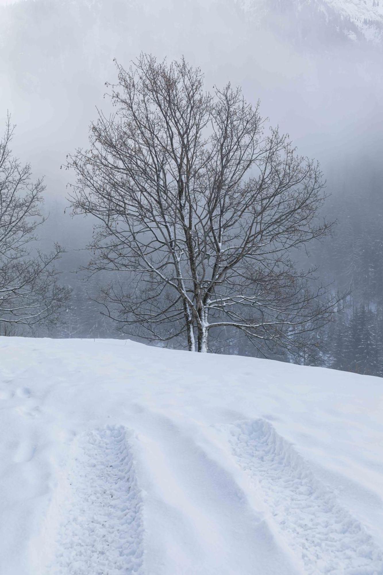 Chalet Du Bon Air Peisey-Nancroix